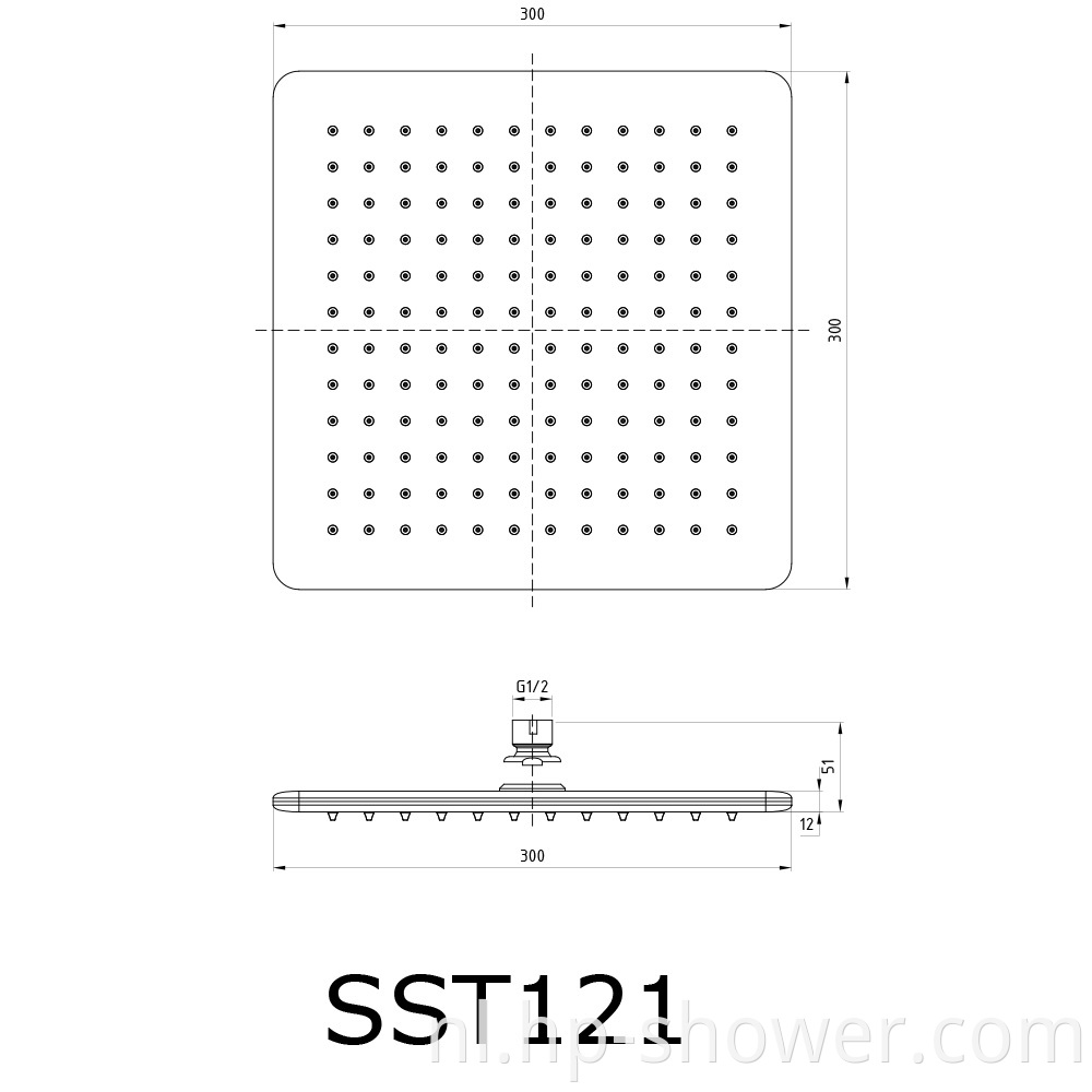 Stainless Steel Shower Head